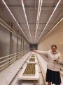 Lampa do microgreens rozsady ziół grow LED 50W 90cm IP67 PHYTO LINE90 uniwersalne spektrum UNI+ do wszystkich upraw egzotyczne rośliny ozdobne terrarium wiwarium