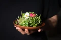 Lampa do microgreens rozsady ziół grow LED 50W 90cm IP67 PHYTO LINE90 uniwersalne spektrum UNI+ do wszystkich upraw egzotyczne rośliny ozdobne terrarium wiwarium