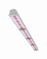 Lampa do roślin grow LED 300W  200cm IP67 Phyto-Line_L200 spektrum VEG MAX do intensywnych upraw indoor 
